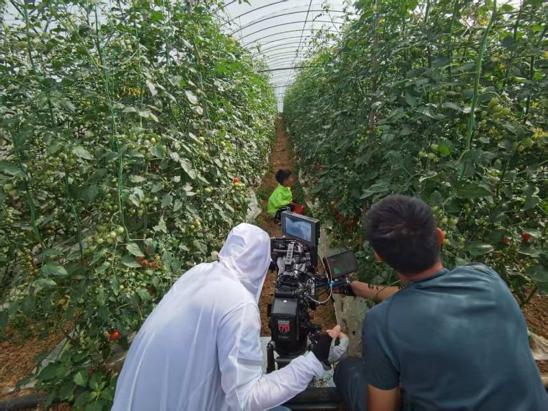 延吉市产品宣传视频拍摄公司进阶指南，助力品牌抢占传播高地